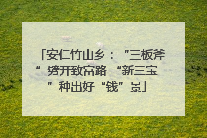 安仁竹山乡：“三板斧”劈开致富路 “新三宝”种出好“钱”景