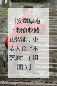 安徽阜南：粮食收储更智能，小麦入仓“不落地”（组图）