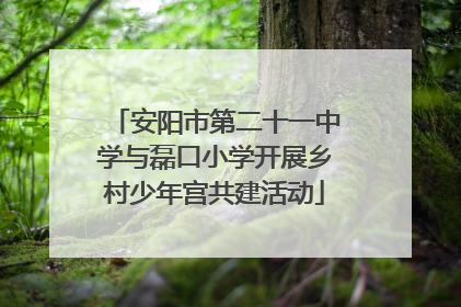 安阳市第二十一中学与磊口小学开展乡村少年宫共建活动