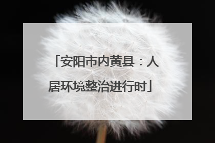 安阳市内黄县：人居环境整治进行时