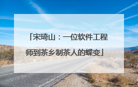 宋琦山：一位软件工程师到茶乡制茶人的蝶变