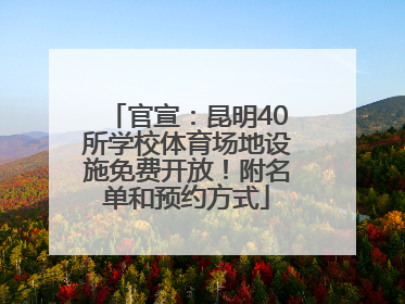 官宣：昆明40所学校体育场地设施免费开放！附名单和预约方式