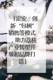 定安：创新“包树”销售等模式，助力荔枝产业转型升级和品牌打造