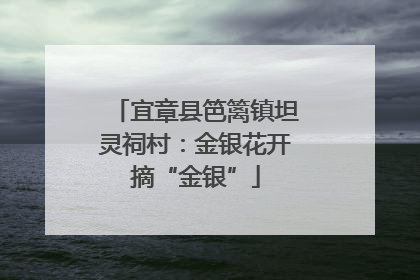 宜章县笆篱镇坦灵祠村：金银花开摘“金银”
