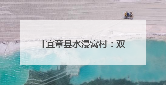 宜章县水浸窝村：双物流按下“加速键” 杨梅锁住“枝头鲜”
