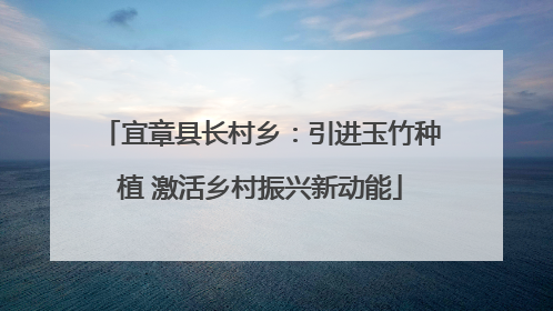 宜章县长村乡：引进玉竹种植 激活乡村振兴新动能