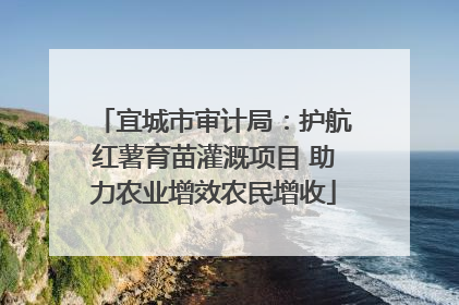 宜城市审计局：护航红薯育苗灌溉项目 助力农业增效农民增收