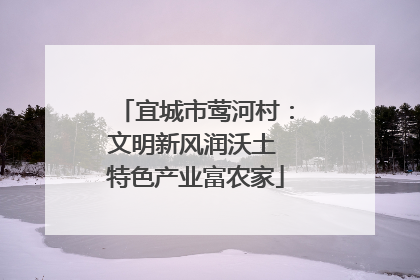 宜城市莺河村：文明新风润沃土 特色产业富农家