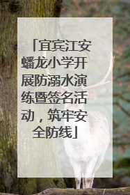 宜宾江安蟠龙小学开展防溺水演练暨签名活动，筑牢安全防线