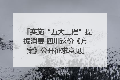 实施“五大工程”提振消费 四川这份《方案》公开征求意见