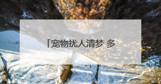 宠物扰人清梦 多方合力化解纠纷