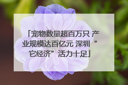 宠物数量超百万只 产业规模达百亿元 深圳“它经济”活力十足