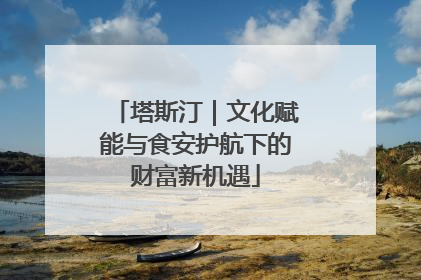 塔斯汀｜文化赋能与食安护航下的财富新机遇