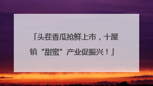 头茬香瓜抢鲜上市，十屋镇“甜蜜”产业促振兴！