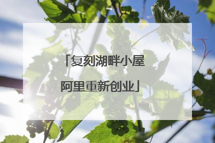 复刻湖畔小屋 阿里重新创业