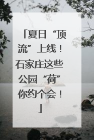 夏日“顶流”上线！石家庄这些公园“荷”你约个会！