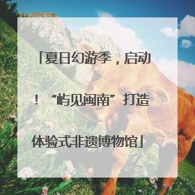 夏日幻游季，启动！“屿见闽南”打造体验式非遗博物馆