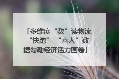 多维度“数”读物流“快跑” “喜人”数据勾勒经济活力画卷