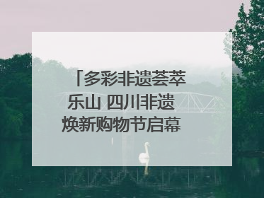 多彩非遗荟萃乐山 四川非遗焕新购物节启幕｜镜观四川