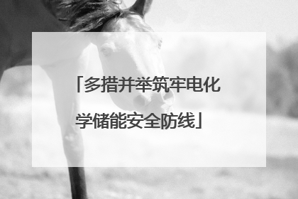 多措并举筑牢电化学储能安全防线