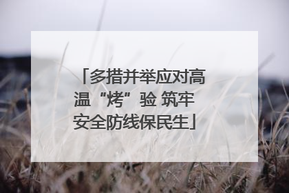 多措并举应对高温“烤”验 筑牢安全防线保民生