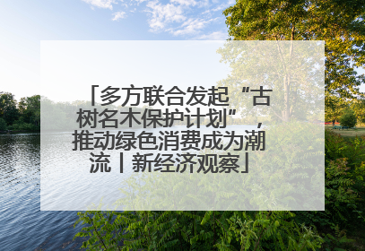 多方联合发起“古树名木保护计划”，推动绿色消费成为潮流丨新经济观察