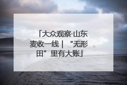大众观察·山东麦收一线｜“无形田”里有大账