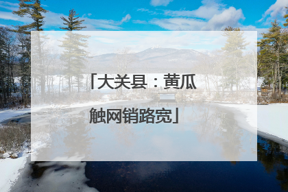 大关县：黄瓜触网销路宽