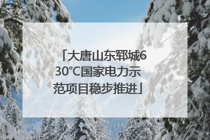 大唐山东郓城630℃国家电力示范项目稳步推进