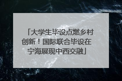 大学生毕设点燃乡村创新！国际联合毕设在宁海展现中西交融
