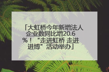 大虹桥今年新增法人企业数同比增20.6%！“走进虹桥 走进进博”活动举办