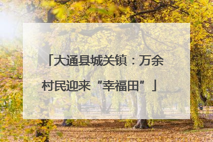 大通县城关镇：万余村民迎来“幸福田”