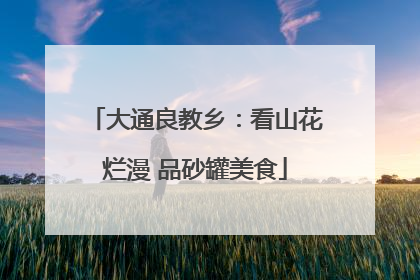 大通良教乡：看山花烂漫 品砂罐美食