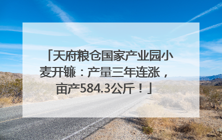 天府粮仓国家产业园小麦开镰：产量三年连涨，亩产584.3公斤！