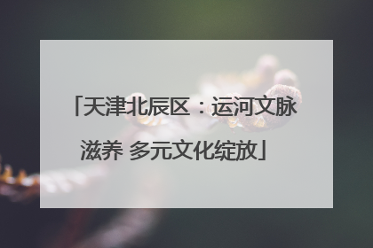天津北辰区：运河文脉滋养 多元文化绽放