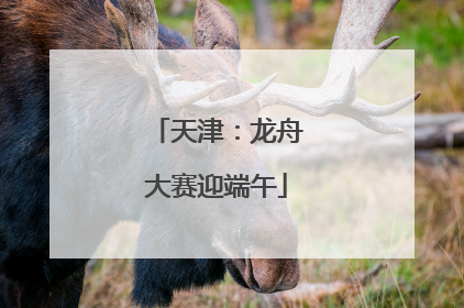 天津：龙舟大赛迎端午