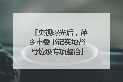 央视曝光后，萍乡市委书记实地督导垃圾专项整治