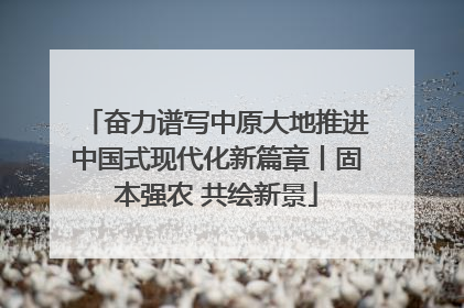 奋力谱写中原大地推进中国式现代化新篇章丨固本强农 共绘新景