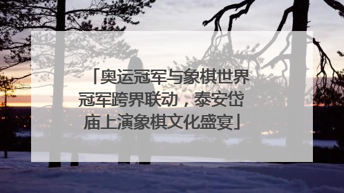 奥运冠军与象棋世界冠军跨界联动，泰安岱庙上演象棋文化盛宴