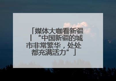 媒体大咖看新疆丨“中国新疆的城市非常繁华，处处都充满活力”