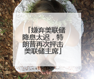 嫌弃美联储降息太迟，特朗普再次抨击美联储主席