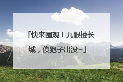 快来围观！九眼楼长城，傻狍子出没~