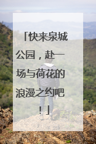 快来泉城公园，赴一场与荷花的浪漫之约吧！