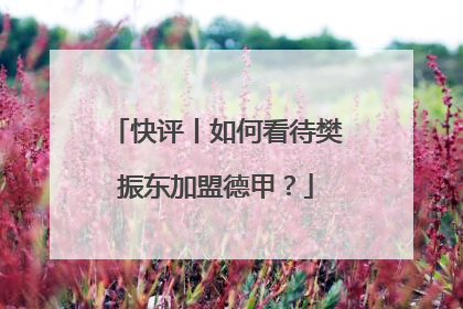 快评丨如何看待樊振东加盟德甲？