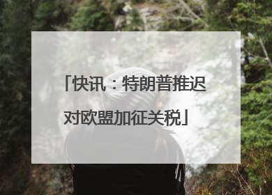 快讯：特朗普推迟对欧盟加征关税