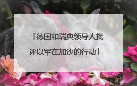 德国和瑞典领导人批评以军在加沙的行动