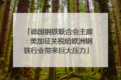 德国钢铁联合会主席：美加征关税给欧洲钢铁行业带来巨大压力