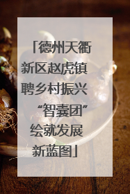 德州天衢新区赵虎镇聘乡村振兴“智囊团” 绘就发展新蓝图