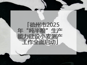 德州市2025年“吨半粮”生产能力建设小麦测产工作全面启动