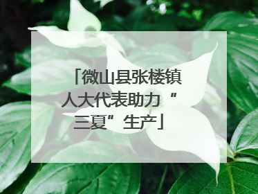 微山县张楼镇人大代表助力“三夏”生产